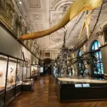 50836-naturhistorisches-museum-wien-nhm-dinosaurier